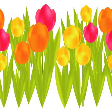 Beyaz zemin üzerine yeşil yaprakları ile renkli lale suluboya. Seamless modeli. Kadınlar günü. Bahar Bush. Sevgililer. Duvar kağıdı, tekstil, ambalaj, web sayfası arka planı davetiye, için kullanılabilir.