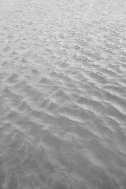 su siyah beyaz manzara fotoğraf