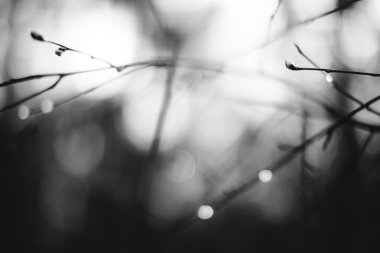 siyah beyaz manzara fotoğrafçılığı