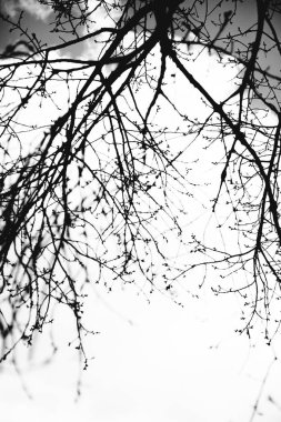 siyah beyaz manzara fotoğrafçılığı