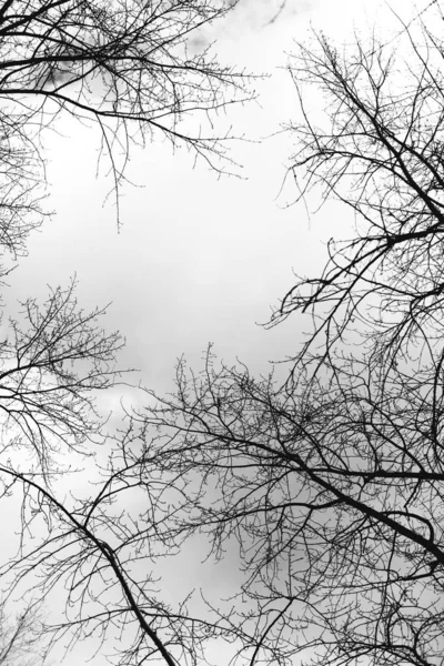白黒風景写真 — ストック写真