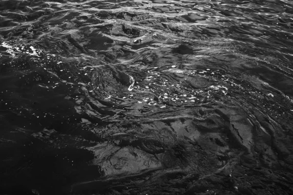 Zwart Wit Landschap Foto Van Water — Stockfoto