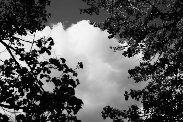 Чорно Біле Небо Пейзажна Фотографія — стокове фото