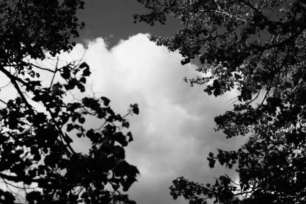 Cielo Blanco Negro Paisaje Fotografía — Foto de Stock