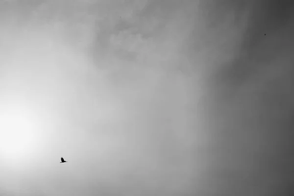 Fotografia Paesaggio Cielo Bianco Nero — Foto Stock