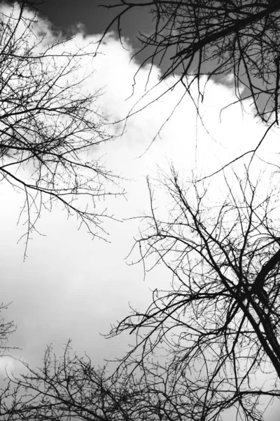 Чорно Біле Небо Пейзажна Фотографія — стокове фото