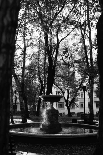 Czarno Biała Fotografia Krajobrazu — Zdjęcie stockowe