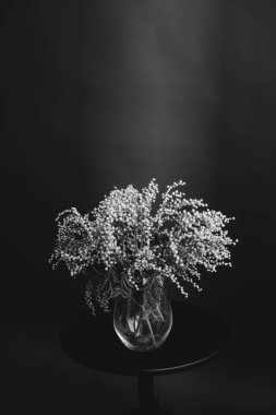 Stüdyo fotoğrafı siyah beyaz çiçekler ve bitkiler, siyah arkaplanda çiçekler.