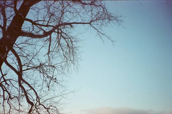 フィルムの風景写真 色の風景 カラーフィルムの自然写真 — ストック写真