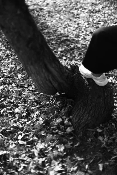 Sesión Fotos Blanco Negro Naturaleza Retrato Una Hermosa Mujer Joven — Foto de Stock