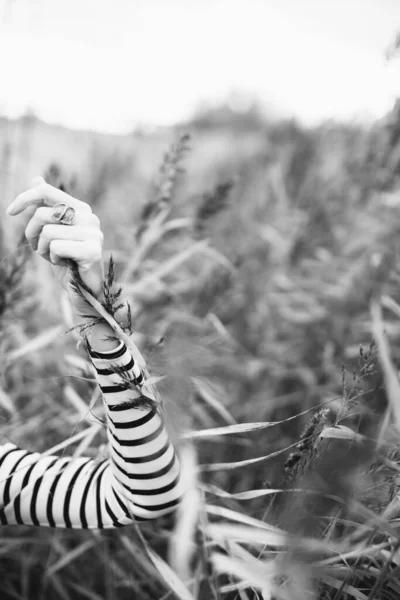 Foto Preto Branco Atirar Natureza Retrato Bela Jovem Parque Menina — Fotografia de Stock