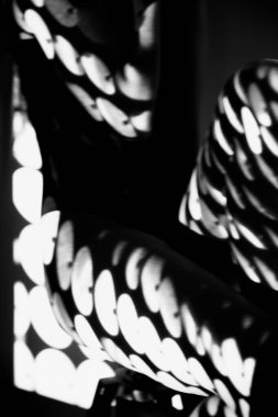 Siyah beyaz desenli ve yansıması olan çıplak kadın vücudu. Projektörle siyah-beyaz fotoğraf oluşturuldu