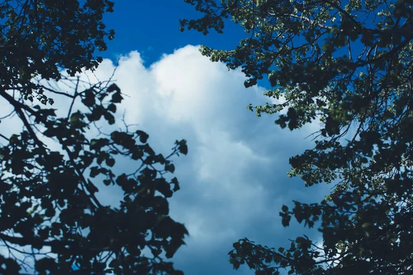 自然の背景 色の風景 青い空 質感の背景 — ストック写真