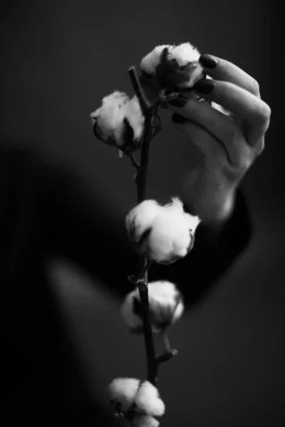 Чорно Біла Мистецька Мода Сюрреалістичний Портрет Красивої Жінки Деталі Тіла — стокове фото