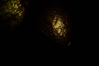 Koyu bir arka planda olgun avokado