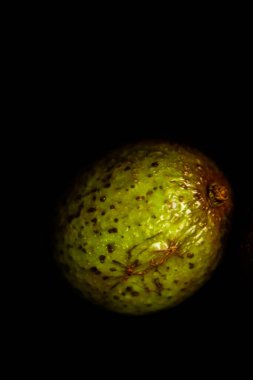 Koyu bir arka planda olgun avokado