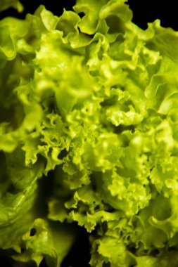 Koyu arkaplanda taze marul.