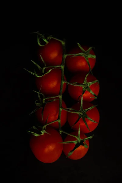 Tomaten Een Tak Zwarte Achtergrond — Stockfoto