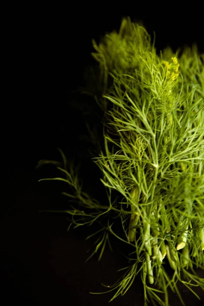 Grüner Dill Auf Dunklem Hintergrund — Stockfoto