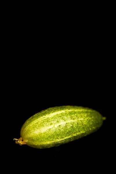 Svěží Okurka Tmavém Pozadí — Stock fotografie