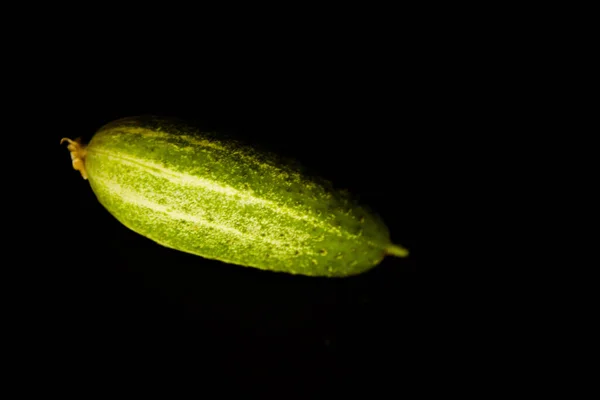 Fresh Cucumber Dark Background — Stock Photo, Image