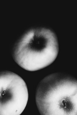 Sebzeler koyu arkaplanda