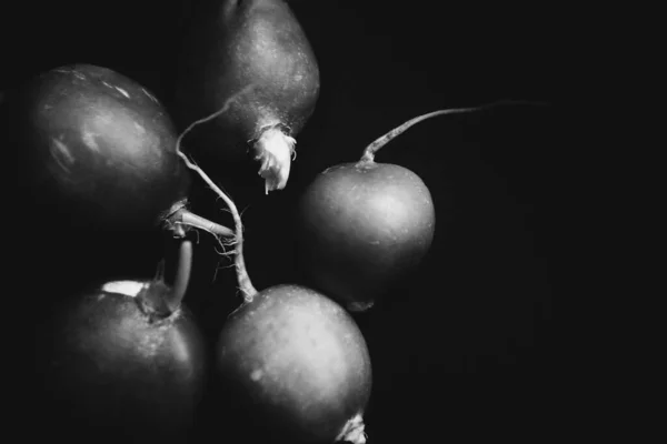 Legumes Fundo Escuro — Fotografia de Stock