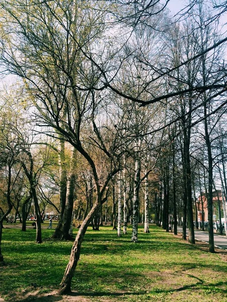 Fotografia Krajobrazowa Tło Naturalne — Zdjęcie stockowe