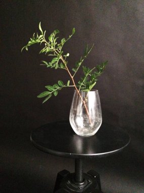 herbarium, pussies, bouquet of flowers and plants