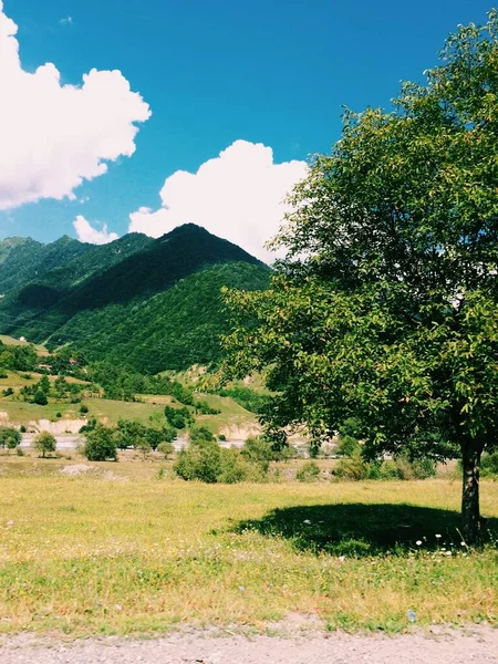 ロッキー山脈の風景 背景と質感 自然背景 — ストック写真