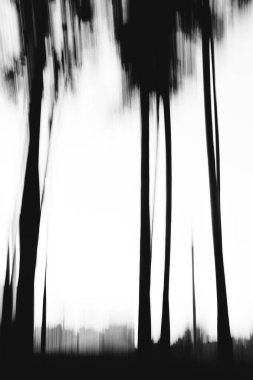 arkaplan ve doku, soyut ve desen, siyah ve beyaz fotoğraf