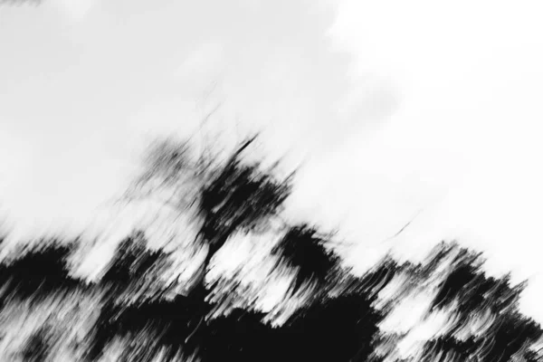 Фон Текстура Абстрактний Візерунок Чорно Біла Фотографія — стокове фото