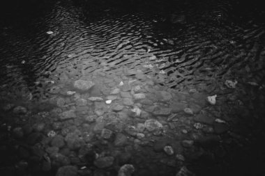 Siyah ve beyaz su dokusu, su arka planı, doğal arkaplan