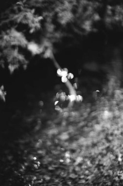 Siyah ve beyaz su dokusu, su arka planı, doğal arkaplan