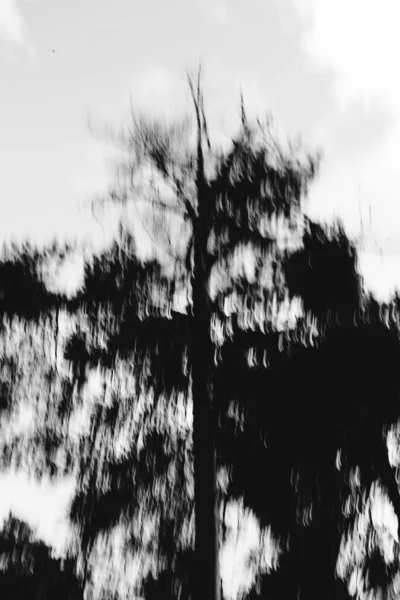 Фон Текстура Абстрактний Візерунок Чорно Біла Фотографія — стокове фото