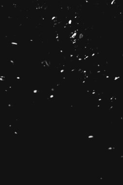 Doğal altyapılar, orman geçmişi, manzara fotoğrafçılığı, sihirli orman ve ağaçlar.