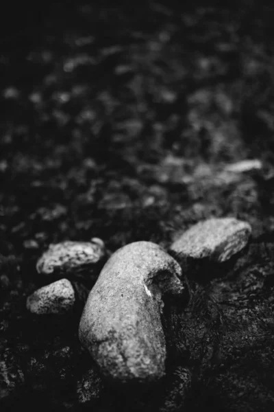 海の小石の背景 黒と白の風景 — ストック写真