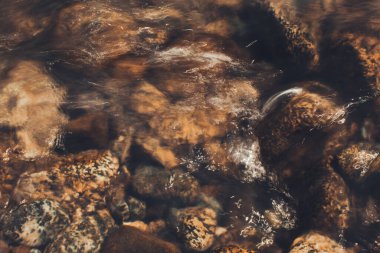 Doğal altyapılar, sihirli orman ve ağaçlar, kökler ve dallar