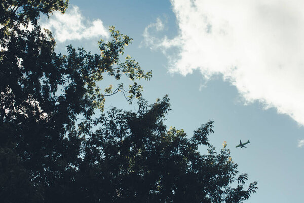 Urban architecture, city landscape, background and texture