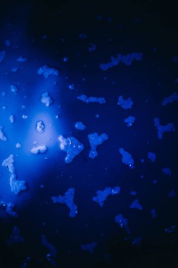 Kentsel mimari, şehir manzarası, arka plan ve doku