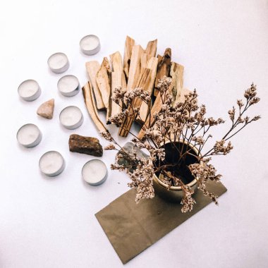 Doğal tütsü, Beyaz Bilge ve Palo Santo. Güney Amerika 'nın kutsal ağacı, renkli kare fotoğraf. Beyaz bilge ve beyaz arka planda Palo Santo.. 