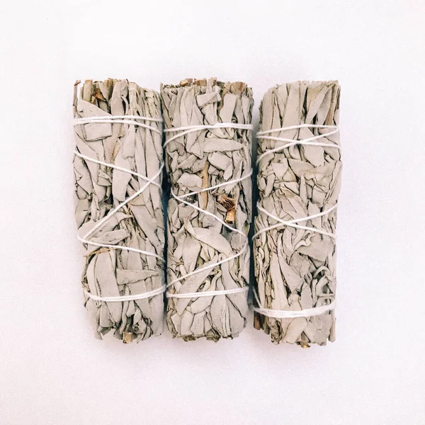 Doğal tütsü, Beyaz Bilge ve Palo Santo. Güney Amerika 'nın kutsal ağacı, renkli kare fotoğraf. Beyaz bilge ve beyaz arka planda Palo Santo.. 