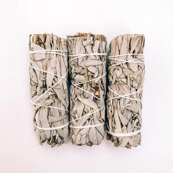 Doğal tütsü, Beyaz Bilge ve Palo Santo. Güney Amerika 'nın kutsal ağacı, renkli kare fotoğraf. Beyaz bilge ve beyaz arka planda Palo Santo.. 