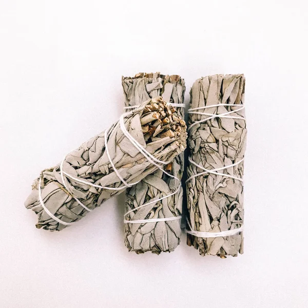 Doğal tütsü, Beyaz Bilge ve Palo Santo. Güney Amerika 'nın kutsal ağacı, renkli kare fotoğraf. Beyaz bilge ve beyaz arka planda Palo Santo.. 