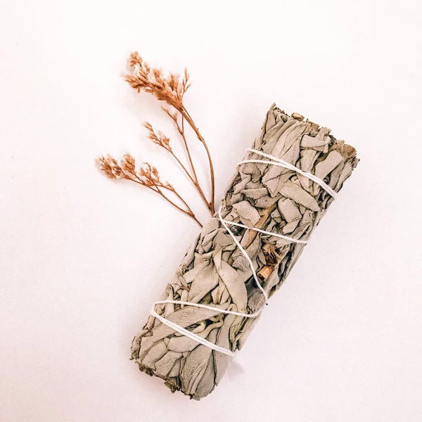 Doğal tütsü, Beyaz Bilge ve Palo Santo. Güney Amerika 'nın kutsal ağacı, renkli kare fotoğraf. Beyaz bilge ve beyaz arka planda Palo Santo.. 
