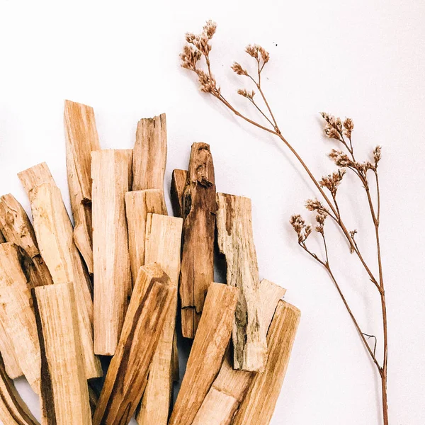 Doğal tütsü, Beyaz Bilge ve Palo Santo. Güney Amerika 'nın kutsal ağacı, renkli kare fotoğraf. Beyaz bilge ve beyaz arka planda Palo Santo.. 