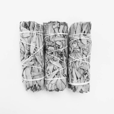 Doğal tütsü, Beyaz Bilge ve Palo Santo. Güney Amerika 'nın kutsal ağacı. Beyaz bilge ve Palo Santo beyaz arka planda.. 