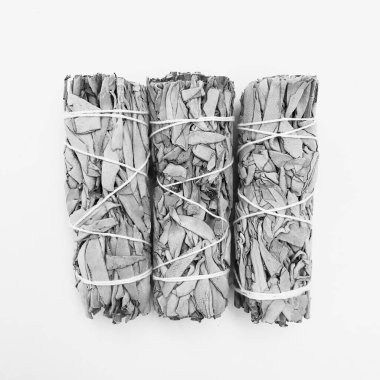 Doğal tütsü, Beyaz Bilge ve Palo Santo. Güney Amerika 'nın kutsal ağacı. Beyaz bilge ve Palo Santo beyaz arka planda.. 