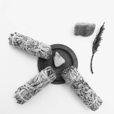 Doğal tütsü, Beyaz Bilge ve Palo Santo. Güney Amerika 'nın kutsal ağacı. Beyaz bilge ve Palo Santo beyaz arka planda.. 