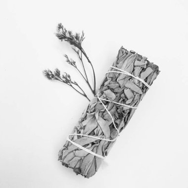 Doğal tütsü, Beyaz Bilge ve Palo Santo. Güney Amerika 'nın kutsal ağacı. Beyaz bilge ve Palo Santo beyaz arka planda.. 